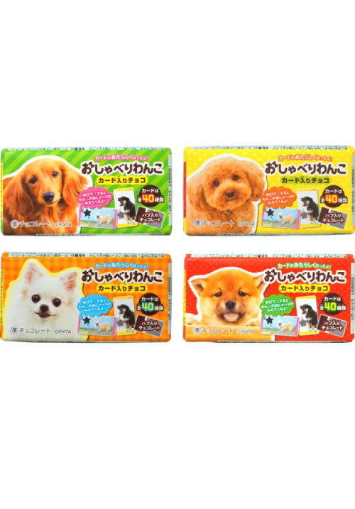 CHOCOLATINA SHOEI TALKING DOG 17,5g